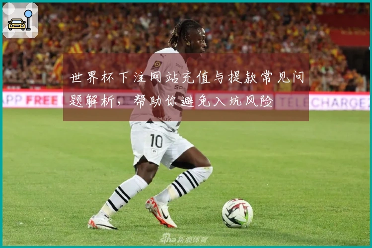 世界杯下注网站充值与提款常见问题解析,帮助你避免入坑风险